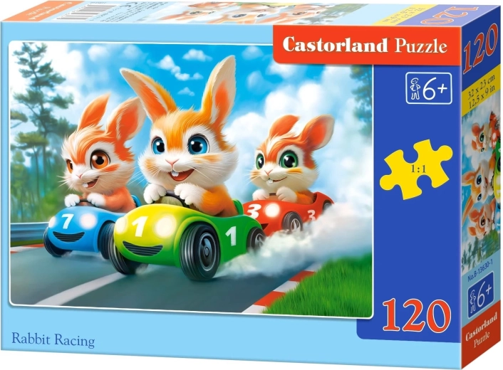 Castorland dėlionė „Triušių lenktynės“ 120 detalių