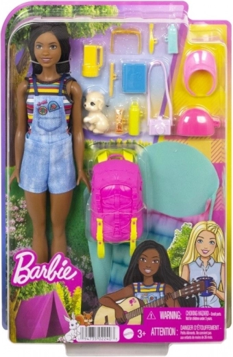 Barbie Brooklyn camping set with accessories and a puppy