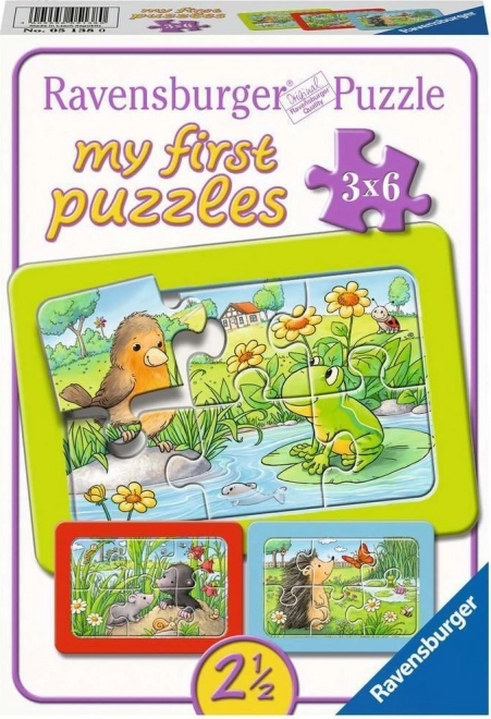 Ravensburger dėlionė Gyvūnai sode 3x6 dalių