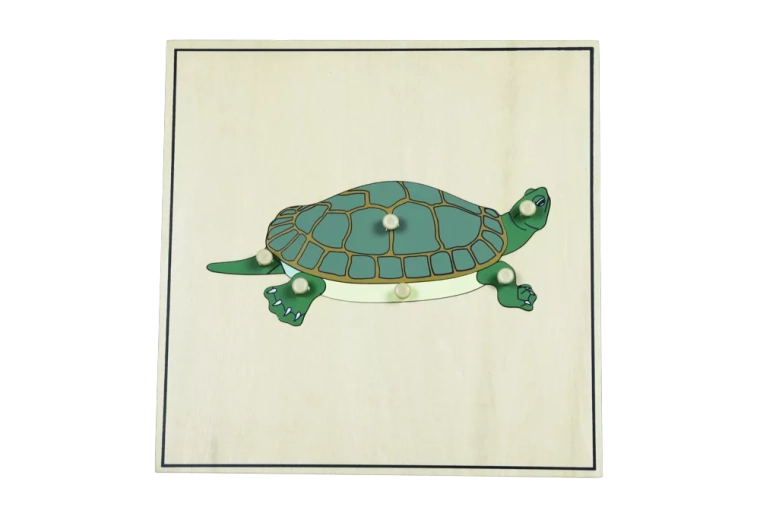Skeleton Puzzle – Turtle