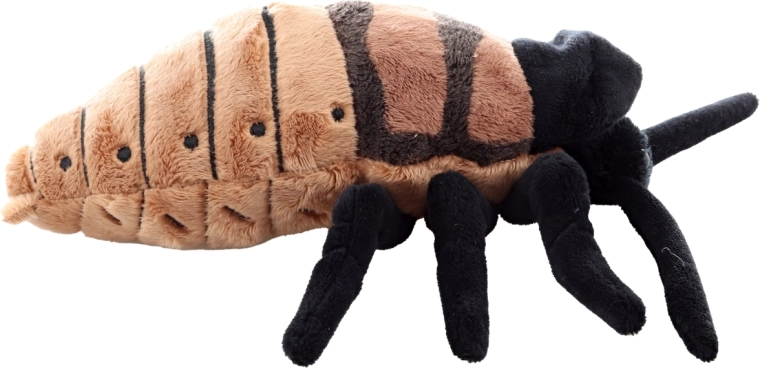 Realistiškas dizainas su detaliu atlikimu