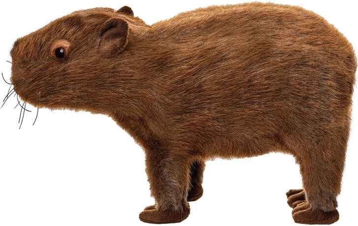Plush Capybara 33 cm