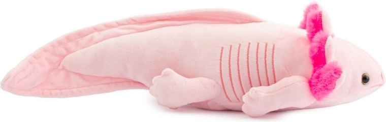 Adorable design that sparks imagination