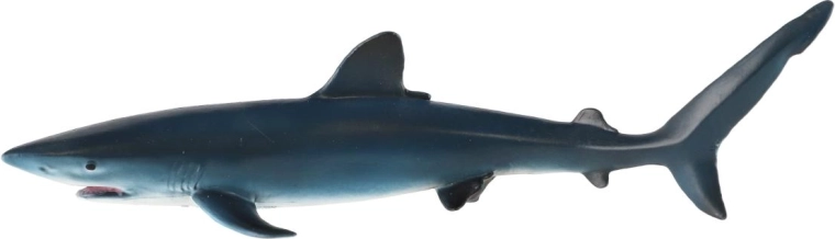 Typical blue shark coloration