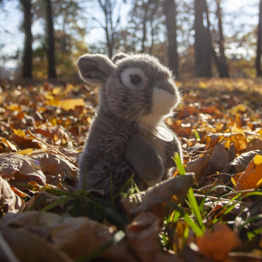 Realistiška išvaizda ir subtilios detalės