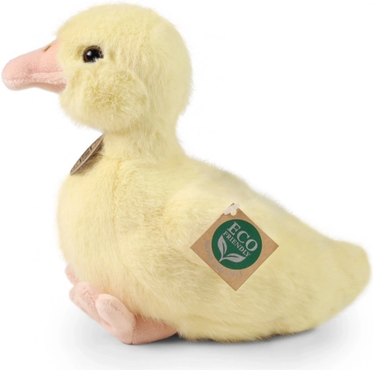 Ekologiškas užpildas iš perdirbtų PET