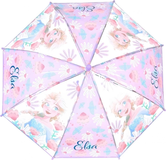 Popular Frozen motif