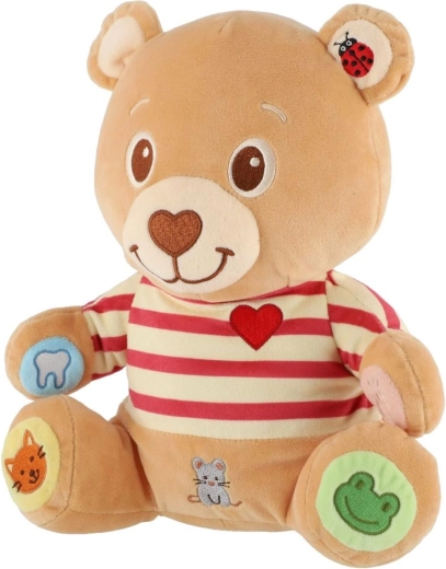 Colourful paws for little explorers