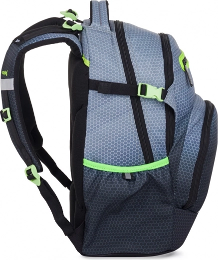 Apgalvotas išdėstymas ir tvarka