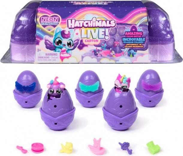Hatchimals kartonas Neoninė vaivorykštė – neoninis perėjimo rinkinys su 5 kiaušinėliais ir figūrėlėmis