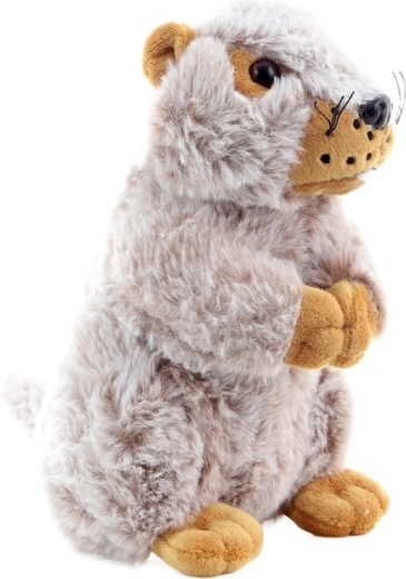 Idealiai telpa į vaiko delnus