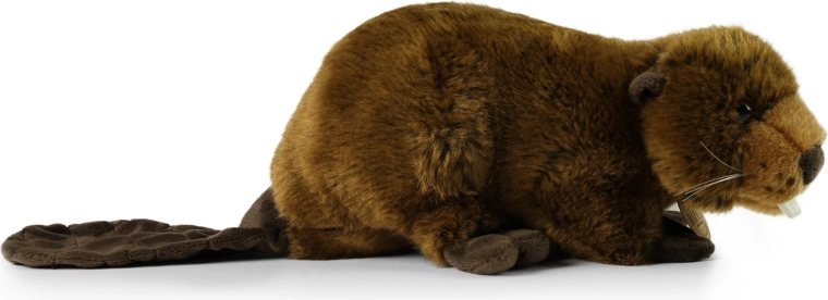 Saugus ir tinkamas nuo gimimo