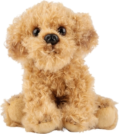 Plush Labradoodle Dog