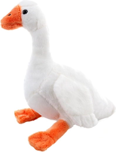 Lengvas ir kompaktiškas