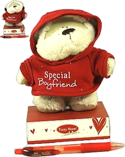 Smaller Fizzy Moon plush teddy bear in a hoodie - 1 piece