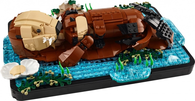 Judrus, detalus mamos ir jauniklio modelis