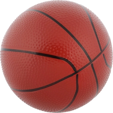 Basketball and hand pump included