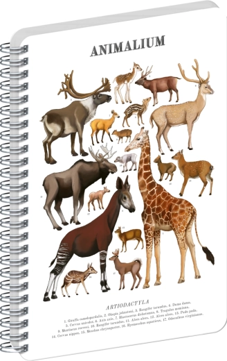Notique Spiral Notebook Animalium Even-Toed Ungulates Plain A5