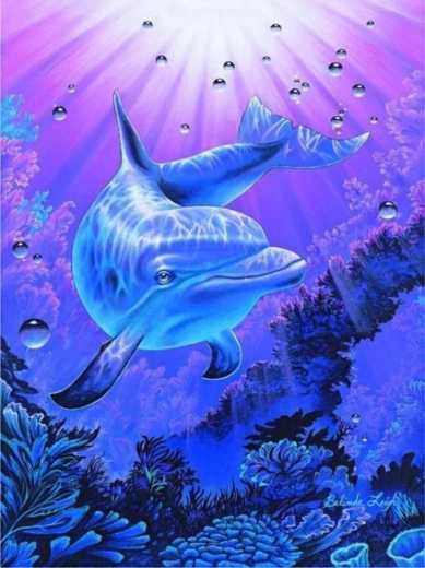 Norimpex Paint by Numbers Dolphin 40 × 50 cm
