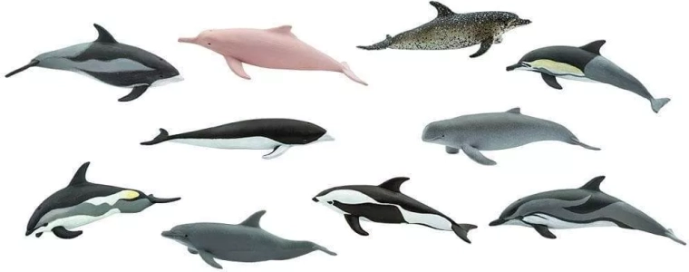 10 marine species in one package