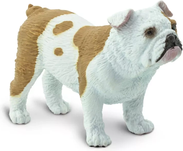 Safari Ltd. buldogo figurėlė – 1 vnt.
