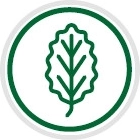 Natūrali buko mediena ir silikonas