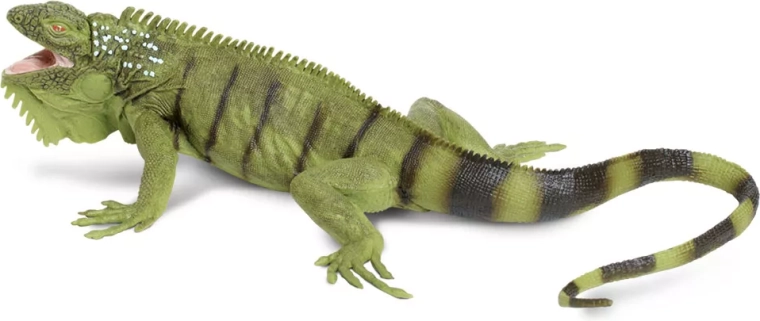 Safari Ltd. žaliasis iguanas