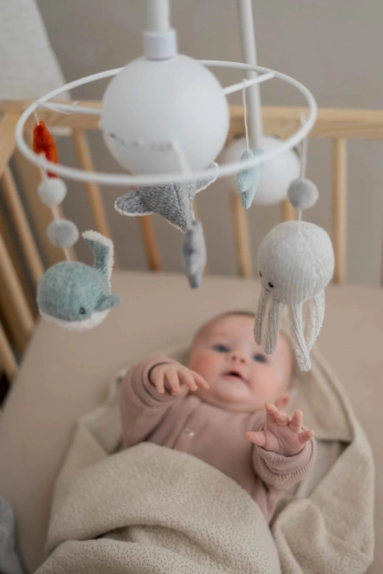 Crib attachment and rotation control