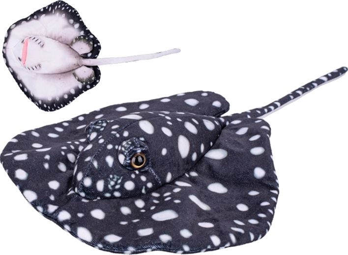 Pliušinė raja 40 cm – juoda