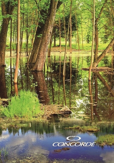 Užrašų knyga A4 su linijomis 8 mm, 200 lapų