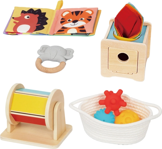 Complete Montessori Set for Babies