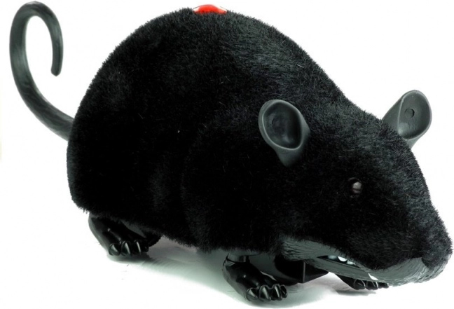 Didelė juoda nuotoliniu būdu valdoma R/C pelė ant ratukų