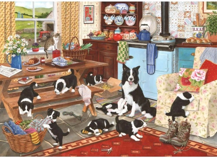 Puzzle Collie 1000 pieces from House of Puzzles