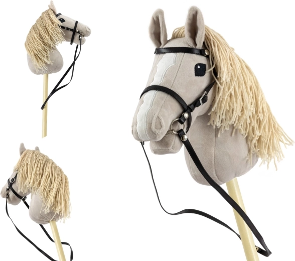 Pavadžiai lengvam valdymui