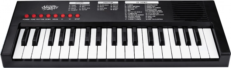 Vaikiškos klavišos su mikrofonu, 40 cm