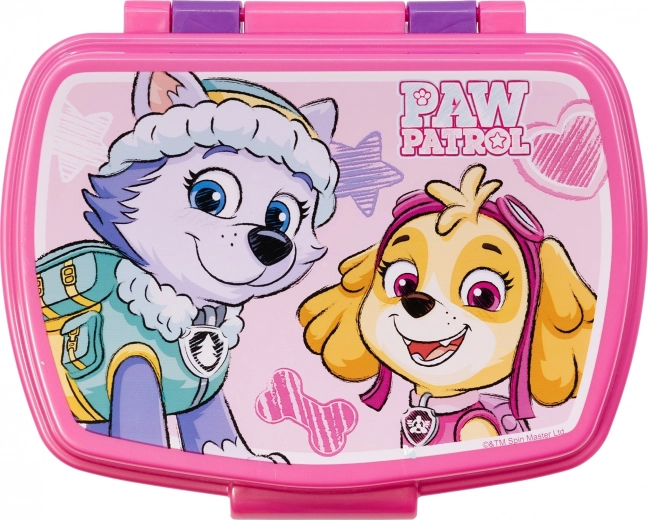 Mėgstami PAW Patrol veikėjai