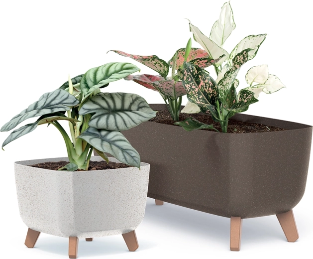 Modernus ECO Wood dizainas namams ir terasai