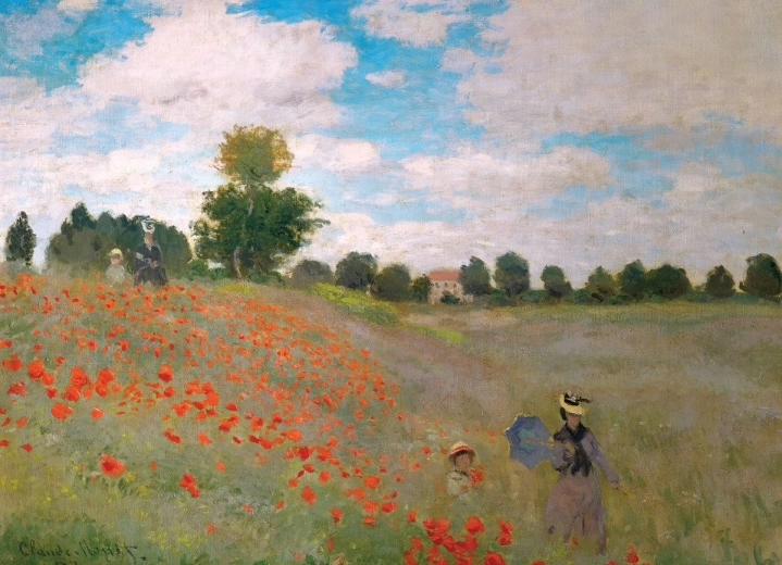 Puzzle EUROGRAPHICS Poppies 1000 pieces