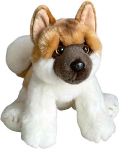 Pliušinis šuo Akita sėdintis 28 cm