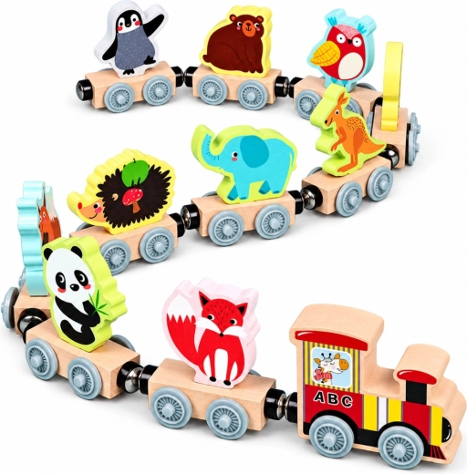 Magnetic carriage connections