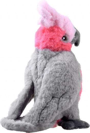 Realistiškos detalės, kurios patraukia dėmesį