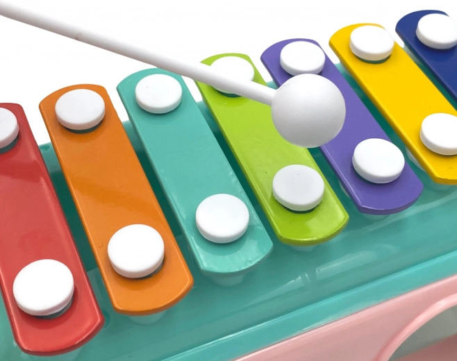 Colorful xylophone for little musicians