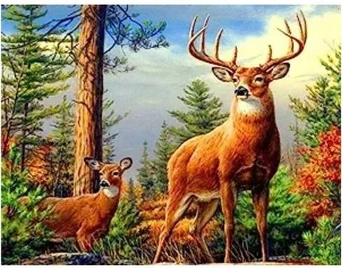 Norimpex diamond painting Deer in the Mountains 30 × 40 cm
