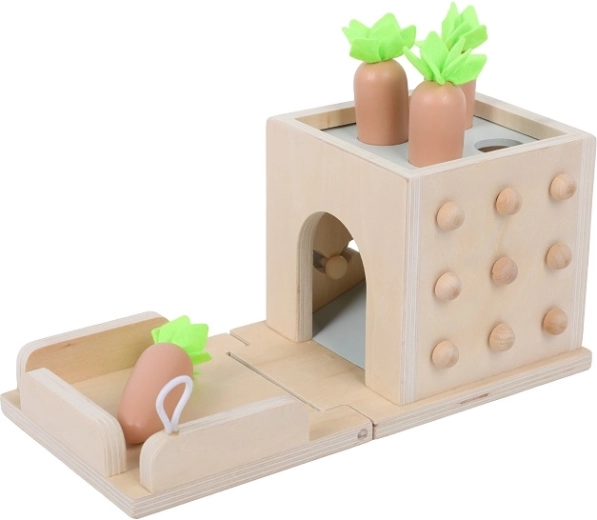 2Kids Toys daugiafunkcis medinis rūšiuotuvas 8 viename