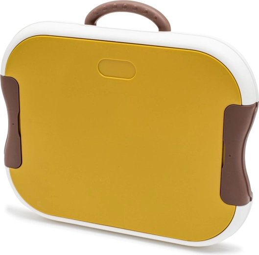 Portable case with latches and handle