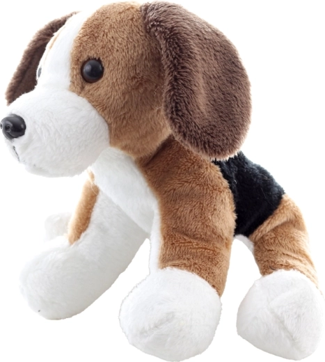 Adorable beagle details