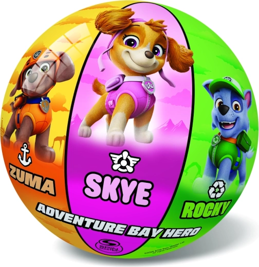 Lygus ir plaunamas paviršius