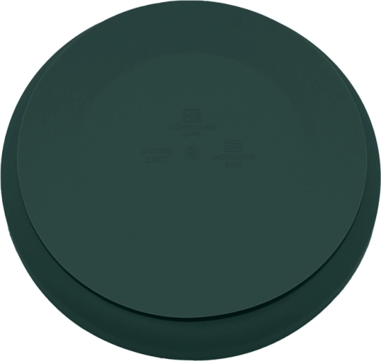 Suction plate with raised rim