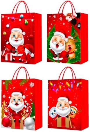 Christmas Gift Bag