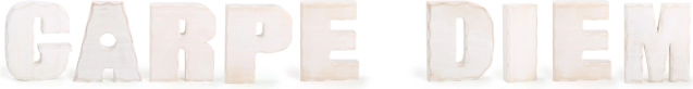 Small Foot Wooden Decoration Carpe Diem